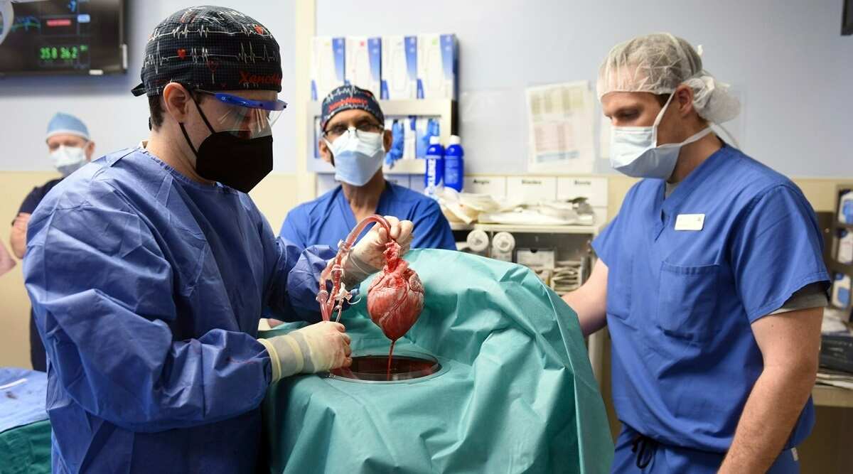pig’s heart transplant : इंसान के शरीर में सूअर का दिल : असम के डॉक्टर ने कहा- जो अमेरिका ने किया, उसे वे 24 साल पहले कर चुके थे