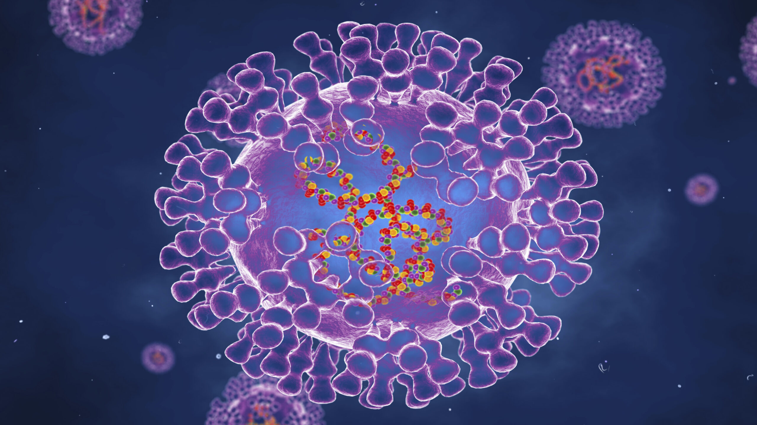 Monkeypox virus | PMC | मन्कीपॉक्स बाबत पुणे महापालिका सजग | नायडू हॉस्पिटलला सतर्क राहण्याच्या सूचना 