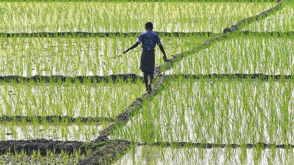 PM Kisan Samman Nidhi | पीएम किसान सन्मान निधीचे नियम बदलले | आता शेतकऱ्यांना 2000 रुपये मिळवण्यासाठी हे काम करावे लागेल 