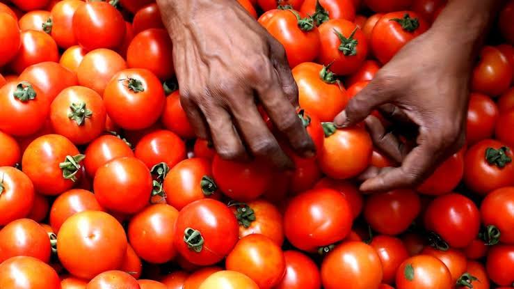 Tomato Price Hike | टोमॅटो किंमत वाढीमुळे महागाई दरावर होणार परिणाम!