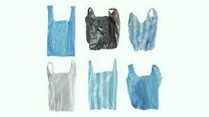 International Plastic Bag Free Day  | आंतरराष्ट्रीय प्लास्टिक पिशवी मुक्त दिवस: शाश्वत भविष्याच्या दिशेने पाऊल टाकताना आपली जबाबदारी काय आहे? 