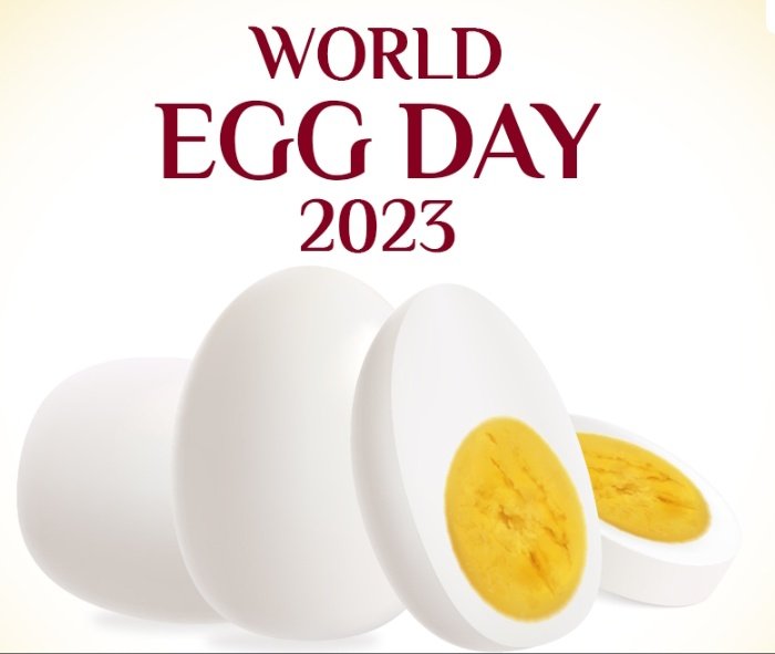 World Egg Day 2023 | अंडी खाणे का गरजेचे आहे आणि दररोज किती खावीत? जाणून घ्या सर्व काही