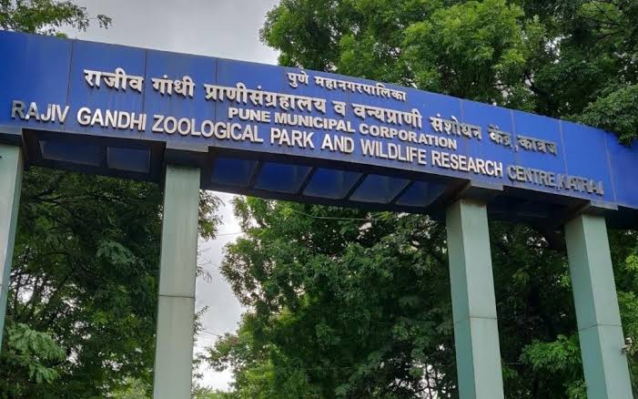 Katraj Zoo Online Ticket | राजीव गांधी प्राणिसंग्रहालय | 10 दिवसांत 10 हजार लोकांनी ऑनलाईन तिकीट सेवेचा घेतला लाभ | महापालिकेला 3 लाखांहून अधिक उत्पन्न