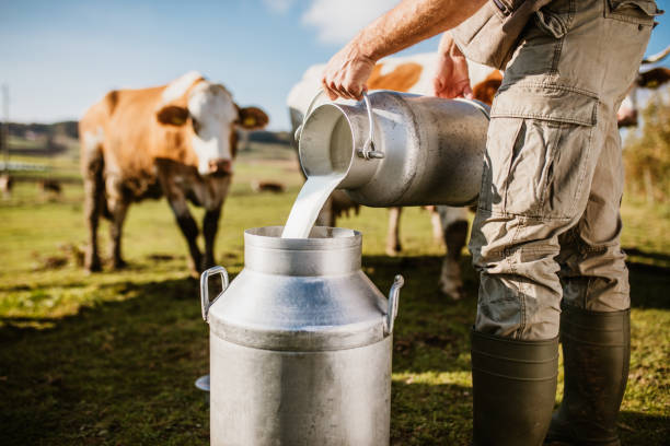 5Rs Subsidy for Milk | दूध उत्पादक शेतकऱ्यांना मोठा दिलासा | दुधासाठी ५ रुपये प्रति लिटर अनुदान