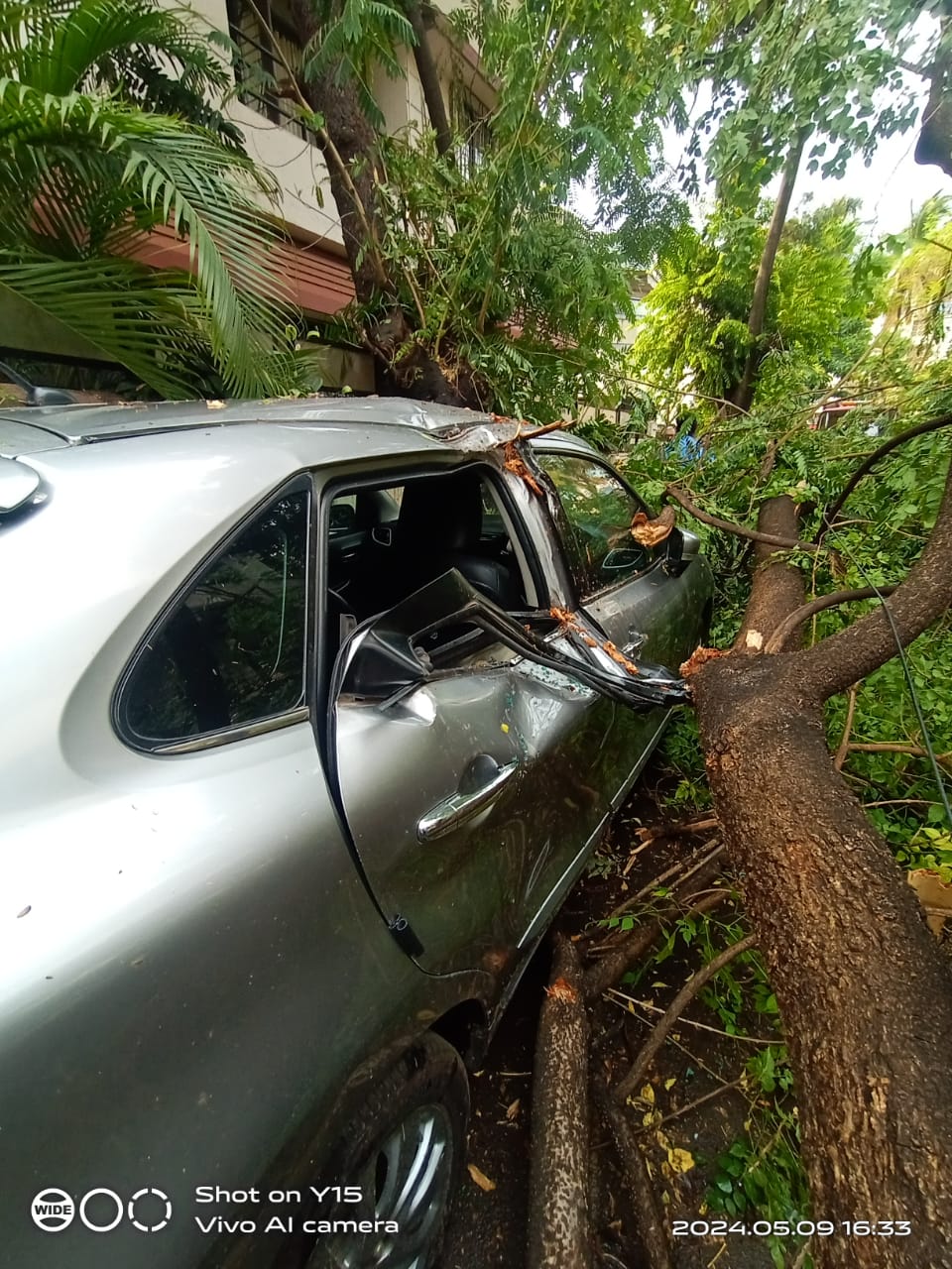 Pune Rain News | पुणे शहरात २१ ठिकाणी झाड पडीच्या घटना! 